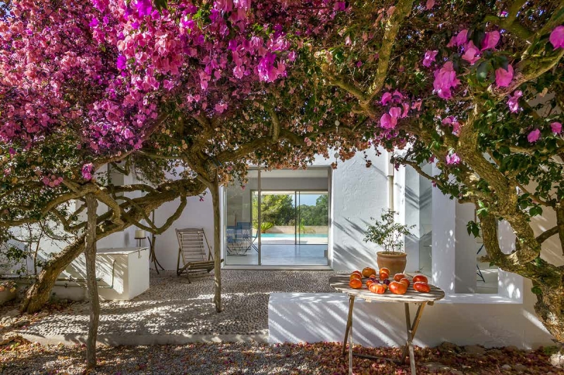 Jardn - Villa en Talamanca, Jess, Ibiza - Engel & Vlkers Ibiza - Inmobiliaria en Ibiza