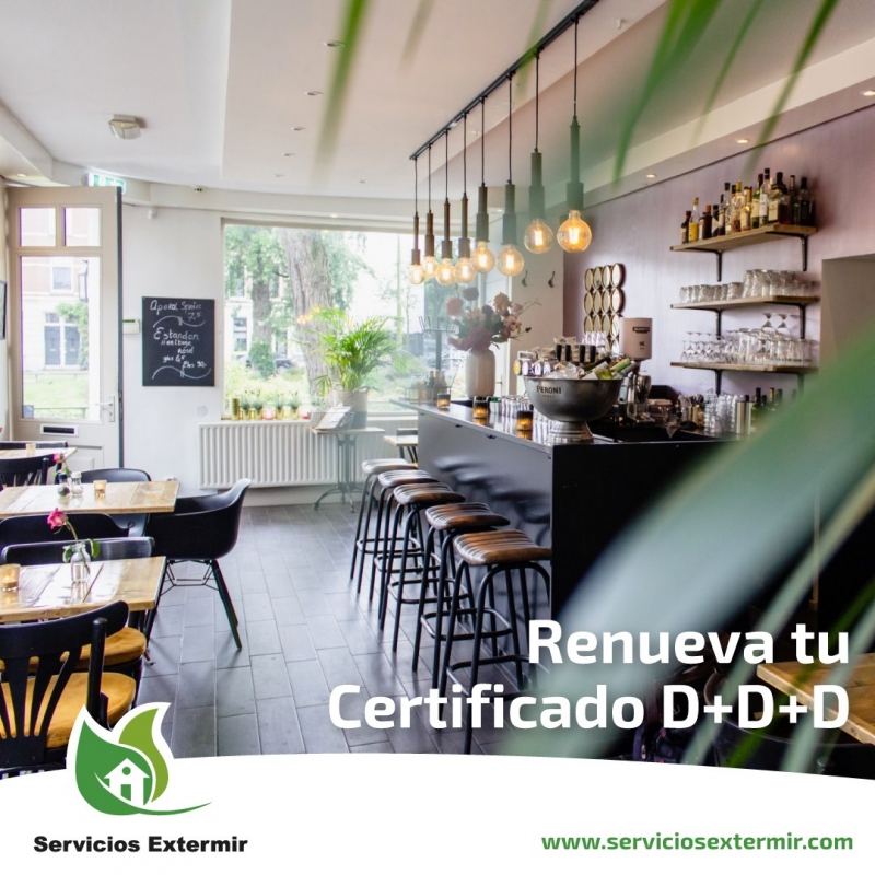 Certificado D+D+D Madrid