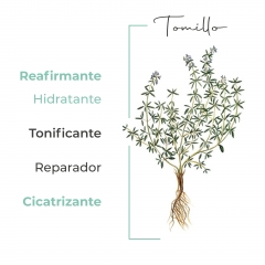 Ig: ecofynder - propiedades del tomillo en la cosmetica