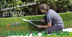 Mantenimiento de jardineria, corte de cesped, corte de setos,