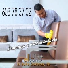 Limpieza de mobiliario, limpieza de oficinas, limpieza de inmuebles