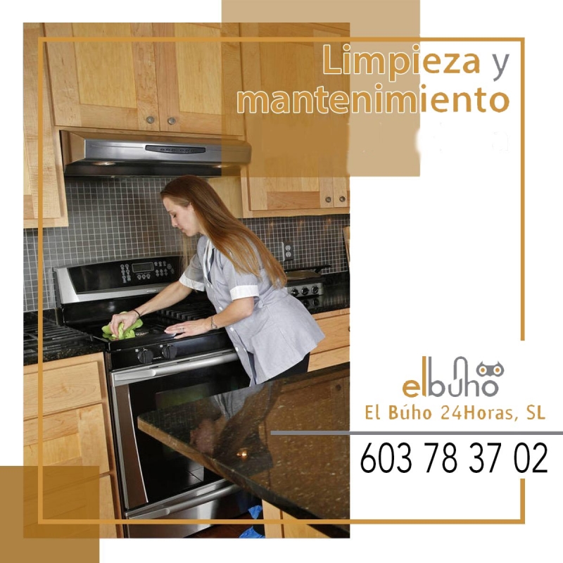 Limpieza de Cocinas, Limpieza de Interiores, Limpieza de Ventanas