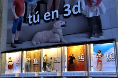 Tu en 3d - te vas a quedar de piedra - threedee-you foto-escultura 3d-u