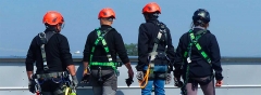 Arnes de seguridad