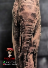 Tatuajes en elche,estudios de tatuajelche,elchetattoo,tattooelche,fabinails,sector5,tatuadoreselche,