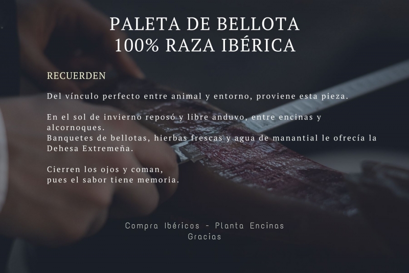 paleta-iberica-100-bellota