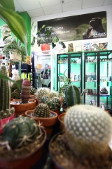 Foto 1 jardineras en Badajoz - Babylon Grow Shop