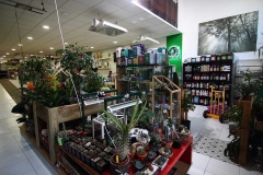 Foto 80 jardinería en Badajoz - Babylon Grow Shop