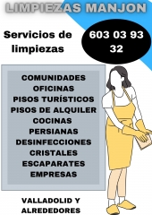 Foto 341 servicios a empresas en Valladolid - Limpiezas Manjon