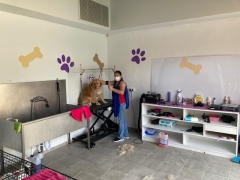 peluquería canina en Ribarroja del Turia