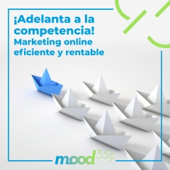 Marketing online en granada