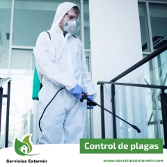 Control de plagas madrid