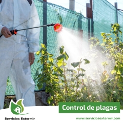 Control de plagas comunidad de madrid