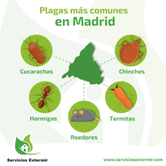 Control de plagas madrid
