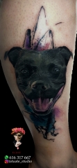 Tattoo,tatuajeselche,tatuadores,tatuadores elche,piercing elche, pirsing