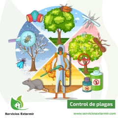 Empresa de control de plagas en madrid