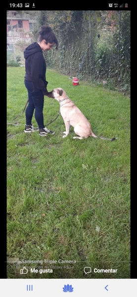 Tamara trabando el control y la calma con su perro