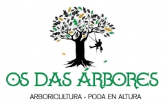 Nosotros