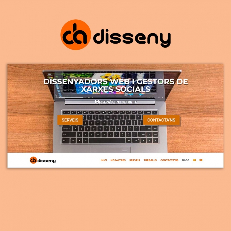 DAdisseny | Diseño y Programación Web | Comercio Electrónico | Marketing Digital | Redes Sociales