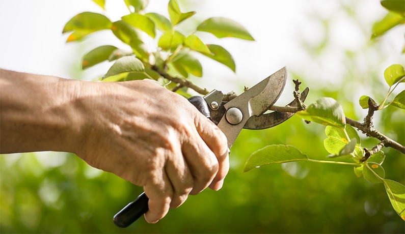 Vivernatura Jardinería en Córdoba