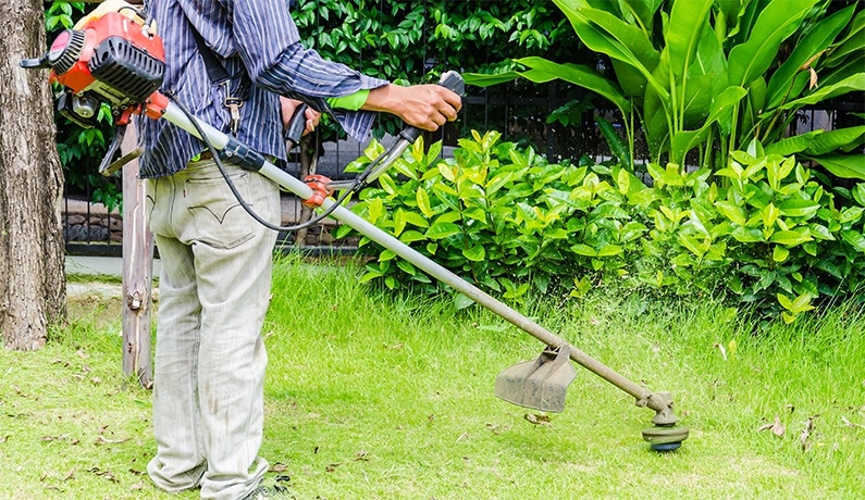 Vivernatura Jardinera en Crdoba