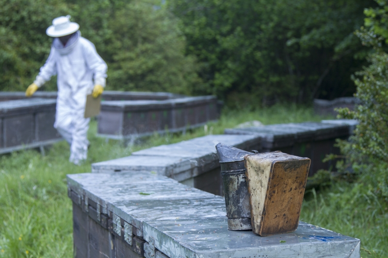 Apicultores al servicio de la apicultura