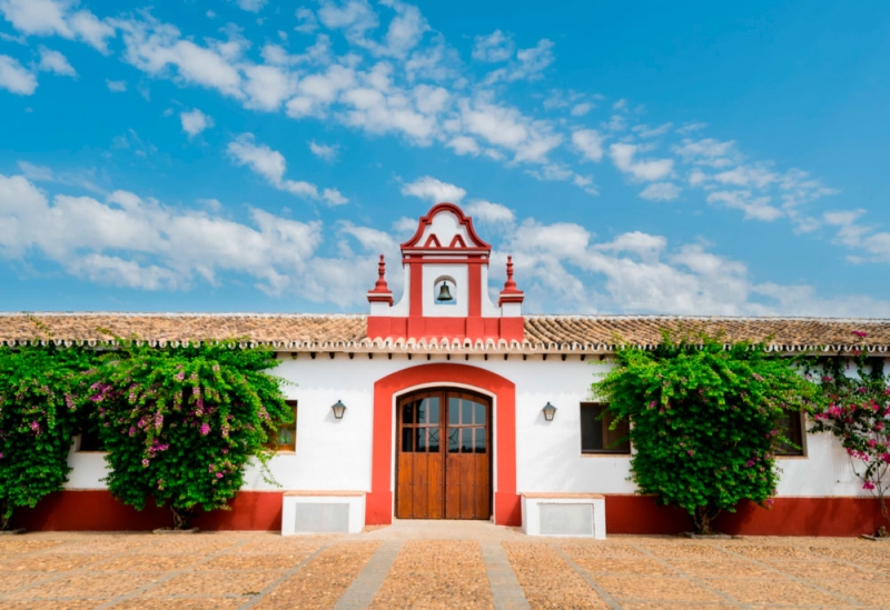 Aceites Hacienda Mata del Herrador