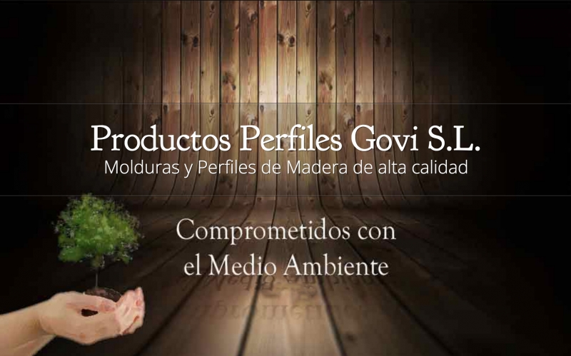 Productos Perfiles Govi S.L. Molduras y Perfiles de Madera de alta calidad