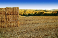 Agro-comercial claramunt-distribucion agricola-igualada-barcelona-abonos-cereales-almendras-y-pajas