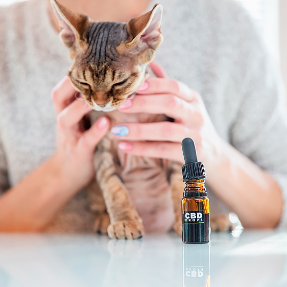 5.CBD para Animales-La Otra Maria-Tienda de CBD-Barcelona