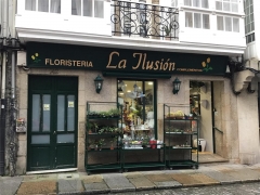 Foto 47 flores en A Coruña - La Ilusion