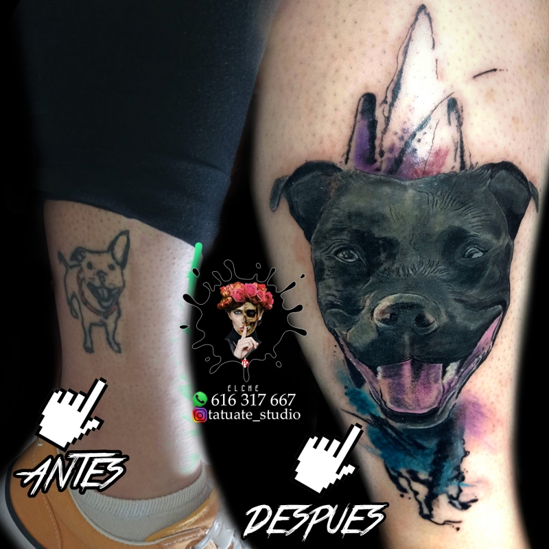 cover,tatuajeselche,piercingelche,tatuatestudio,tatuadoreselche,tatuelche,elchetatu