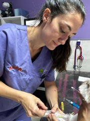 Clinica veterinaria para perros y gatos en valdemoro, madrid