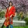 Kimono seda rojo bordado Julunggul. Kimono boda