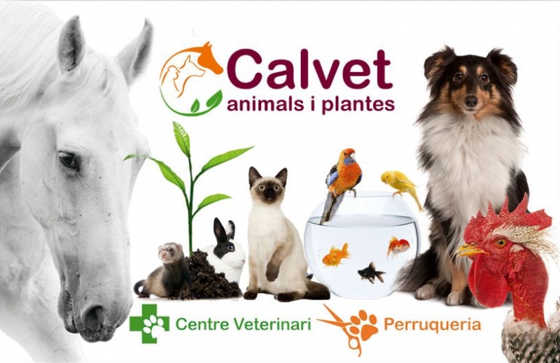 CALVET Animales y Plantas-Tienda de Animales-Igualada
