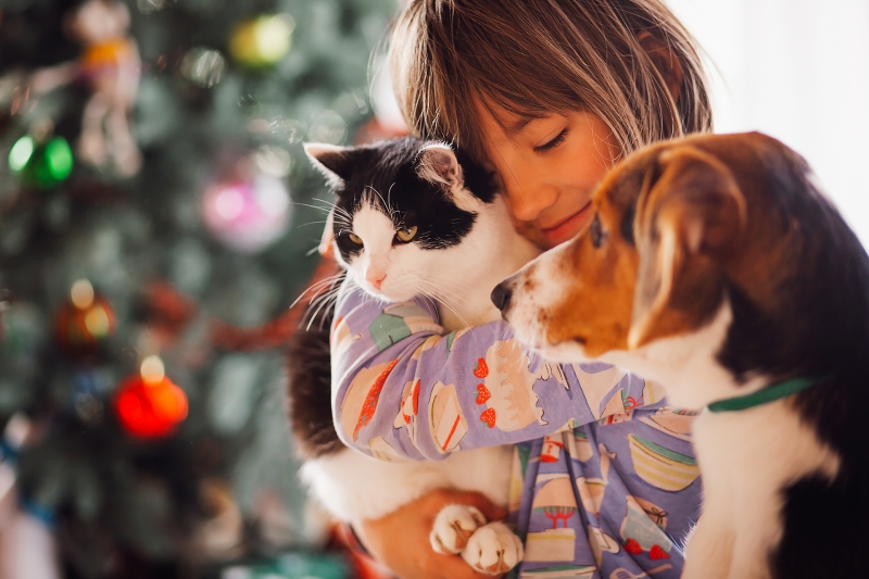 CALVET-Animales & Plantas-Mascotas-Perro & Gato