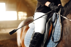 Calvet-animales & plantas-caballos--accesorios para jinete