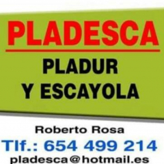 Pladesca pladur y escayola - foto 2