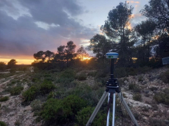 Boj forestal, sl - foto 2