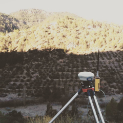 Boj forestal, sl - foto 1