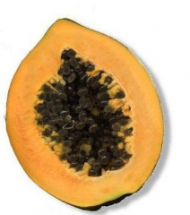 Papaya