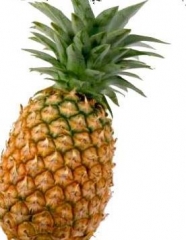 Piña