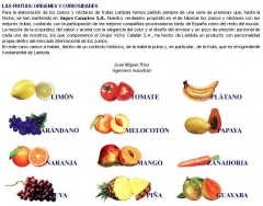 Las origenes y curiosidades de la fruta