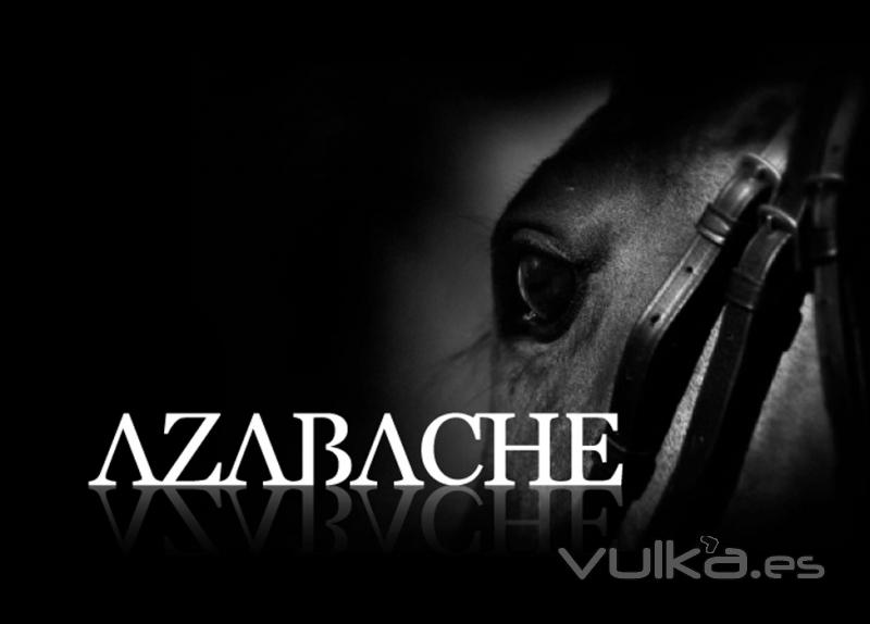 Diseño de página web · www.azabachegroup.com