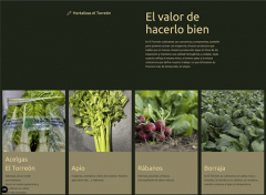 Hortalizas el torreon - foto 33