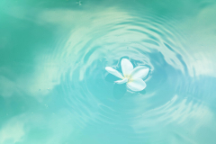 Agua kangen e hidrogenada