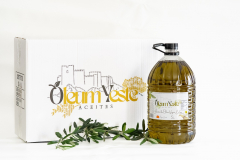 Aceites oleum yeste (oleum yeste, s microcoop de clm)  - foto 23