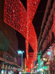 Tour luces de navidad-tour time