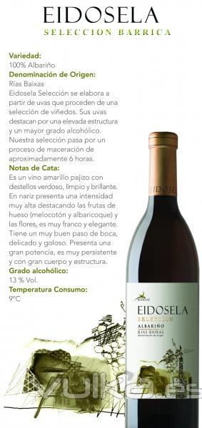 EIDOSELA Albariño Fermentado en Barrica