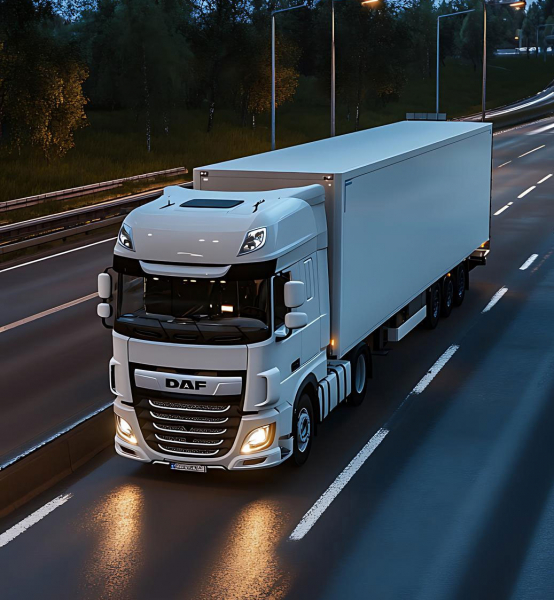 TRANSPORTES S. SILVA